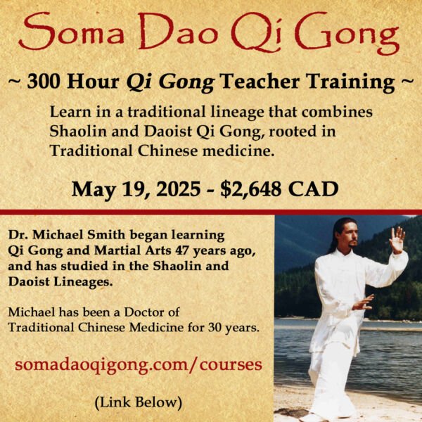 somadao course insta 300 hour – 2025-ff
