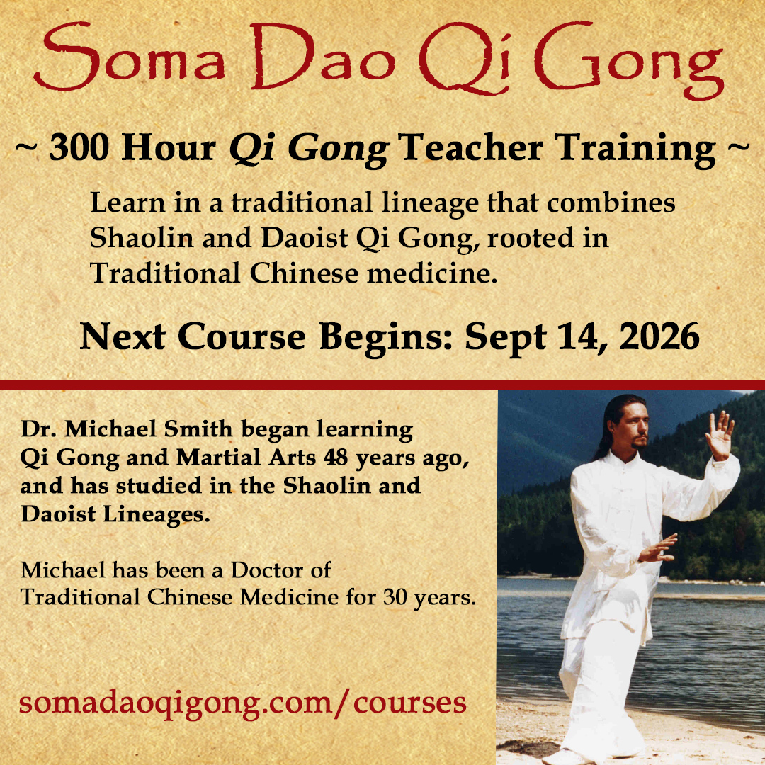 somadao course insta 300 hour – 2026-ff