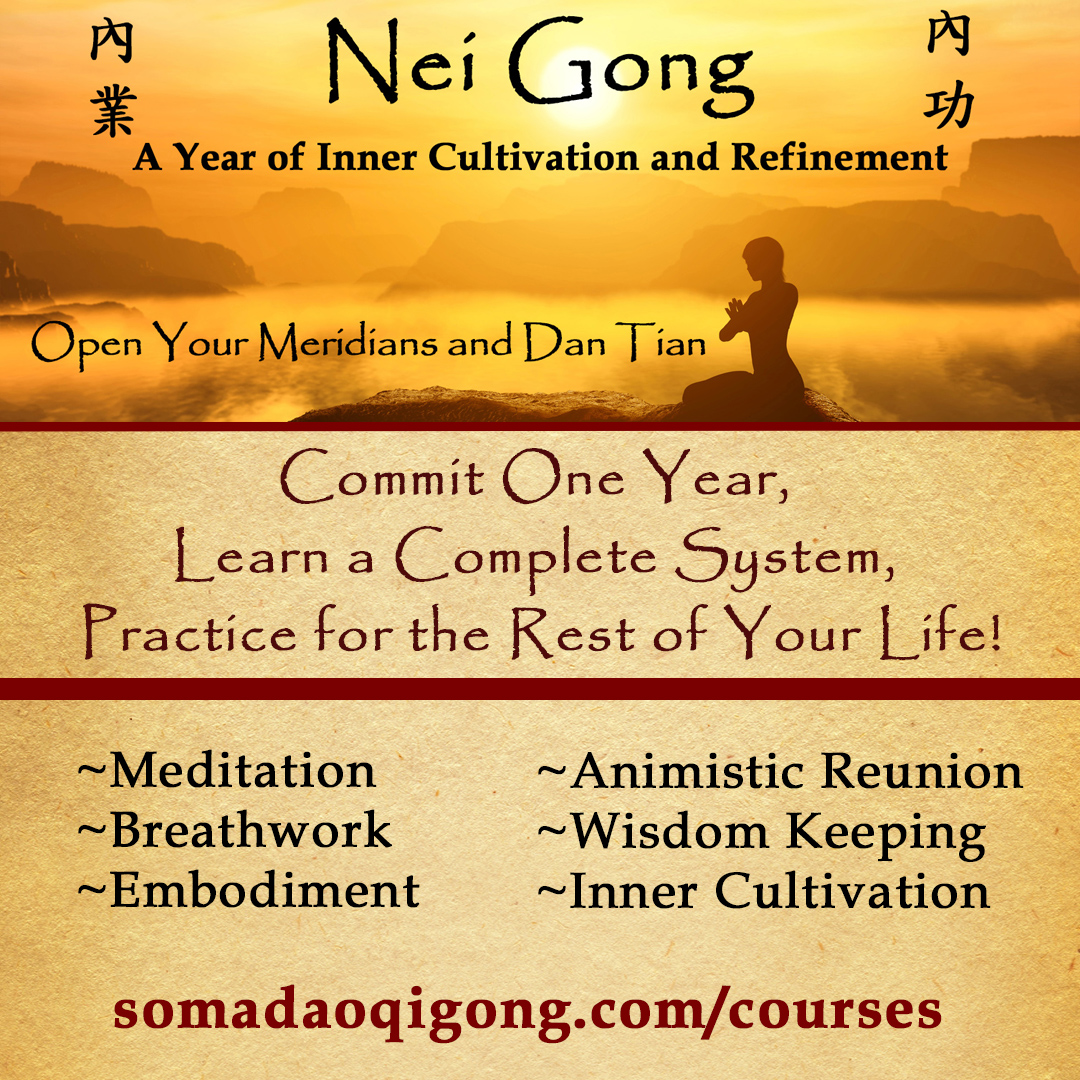 nei gong promo list square 2026-af