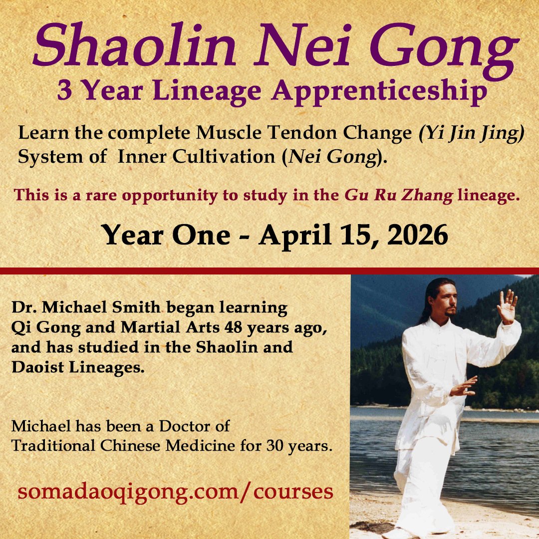 shaolin 3 yr course 2026 year one -ff