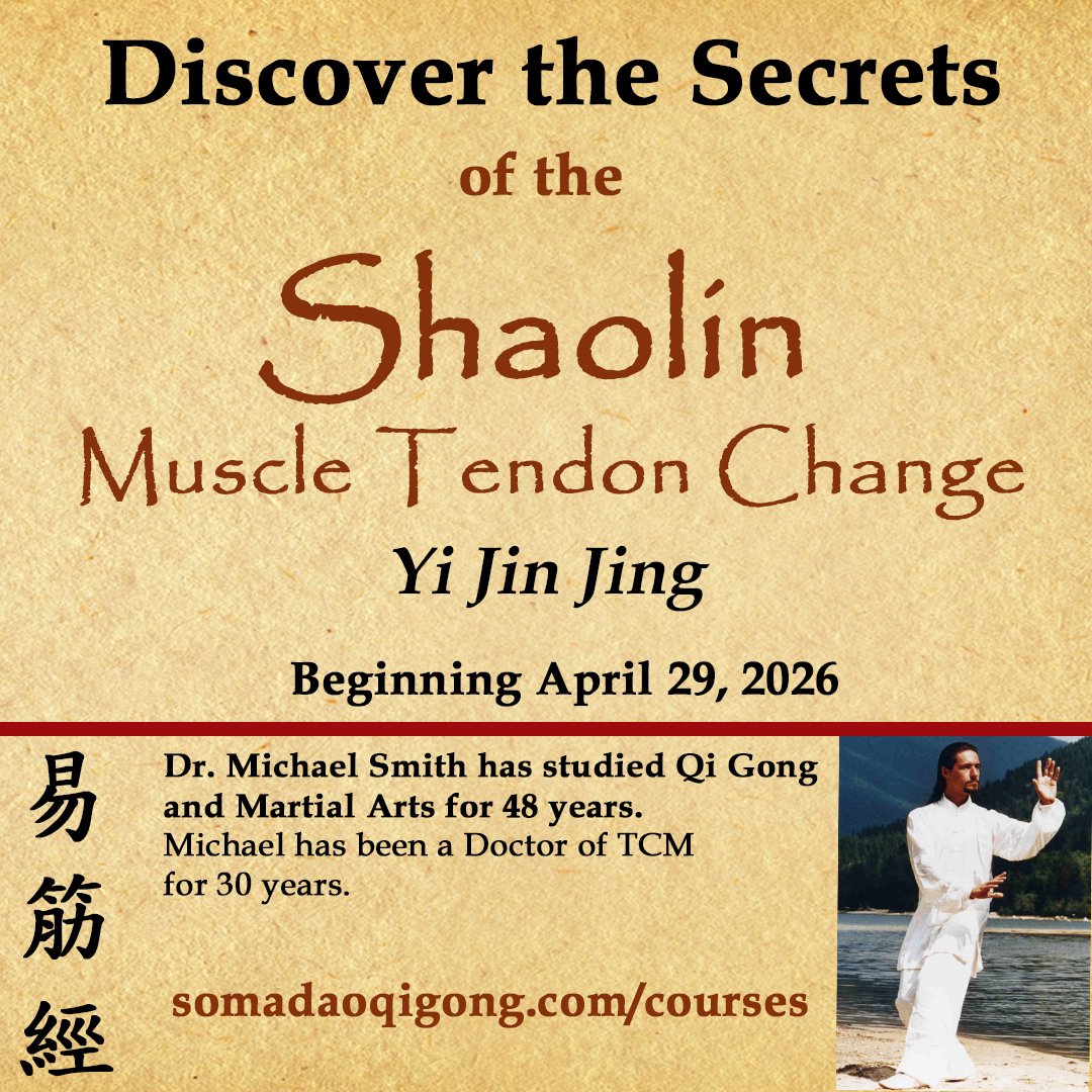 shaolin- article pic – secrets- 2026-ffff